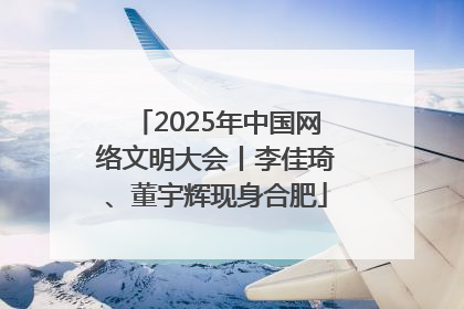 2025年中国网络文明大会丨李佳琦、董宇辉现身合肥