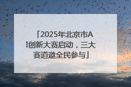 2025年北京市AI创新大赛启动，三大赛道邀全民参与