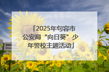 2025年句容市公安局“向日葵”少年警校主题活动