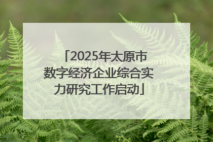 2025年太原市数字经济企业综合实力研究工作启动