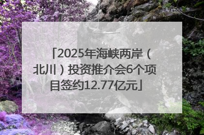 2025年海峡两岸（北川）投资推介会6个项目签约12.77亿元