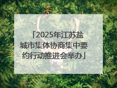 2025年江苏盐城市集体协商集中要约行动推进会举办