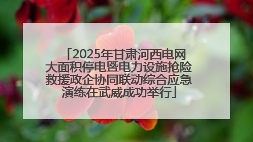 2025年甘肃河西电网大面积停电暨电力设施抢险救援政企协同联动综合应急演练在武威成功举行