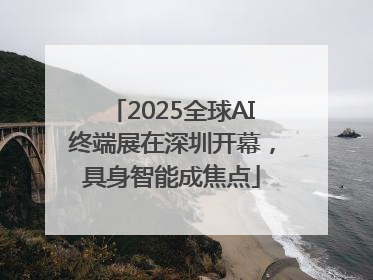 2025全球AI终端展在深圳开幕，具身智能成焦点