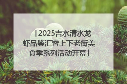 2025吉水清水龙虾品鉴汇暨上下老街美食季系列活动开幕