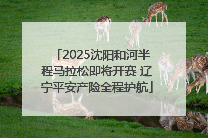 2025沈阳和河半程马拉松即将开赛 辽宁平安产险全程护航