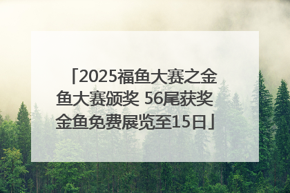 2025福鱼大赛之金鱼大赛颁奖 56尾获奖金鱼免费展览至15日