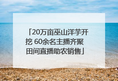 20万亩巫山洋芋开挖 60余名主播齐聚田间直播助农销售