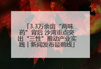3.3万余亩“两味药”背后 沙湾重点突出“三性”推动产业实践丨新闻发布最前线