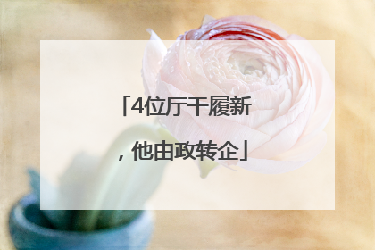 4位厅干履新，他由政转企