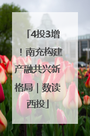 4投3增！南充构建产融共兴新格局｜数读西投