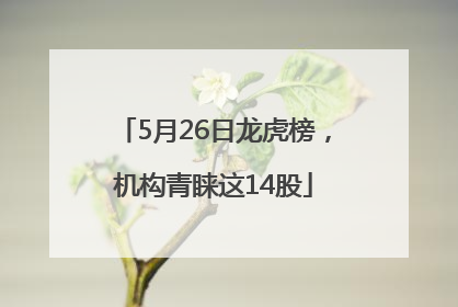 5月26日龙虎榜，机构青睐这14股