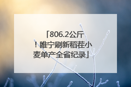 806.2公斤！睢宁刷新稻茬小麦单产全省纪录