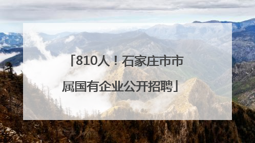 810人！石家庄市市属国有企业公开招聘