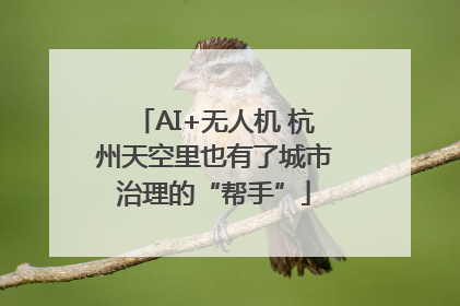 AI+无人机 杭州天空里也有了城市治理的“帮手”