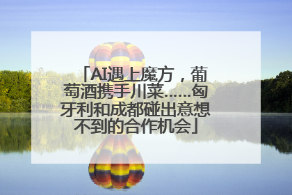 AI遇上魔方，葡萄酒携手川菜……匈牙利和成都碰出意想不到的合作机会