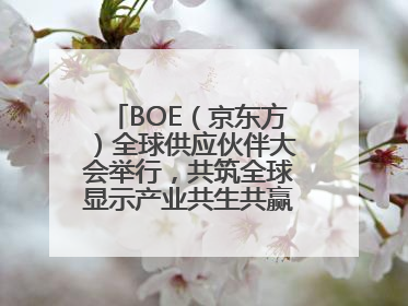BOE（京东方）全球供应伙伴大会举行，共筑全球显示产业共生共赢新格局