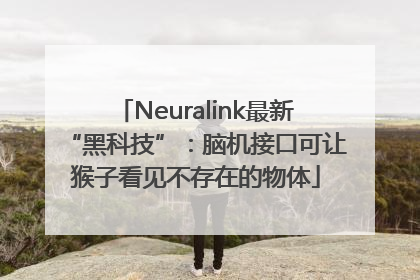 Neuralink最新“黑科技”：脑机接口可让猴子看见不存在的物体