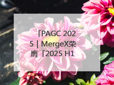PAGC 2025｜MergeX荣膺「2025 H1 出海新势力奖」