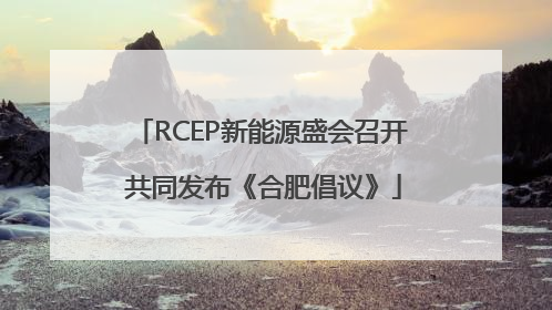 RCEP新能源盛会召开 共同发布《合肥倡议》